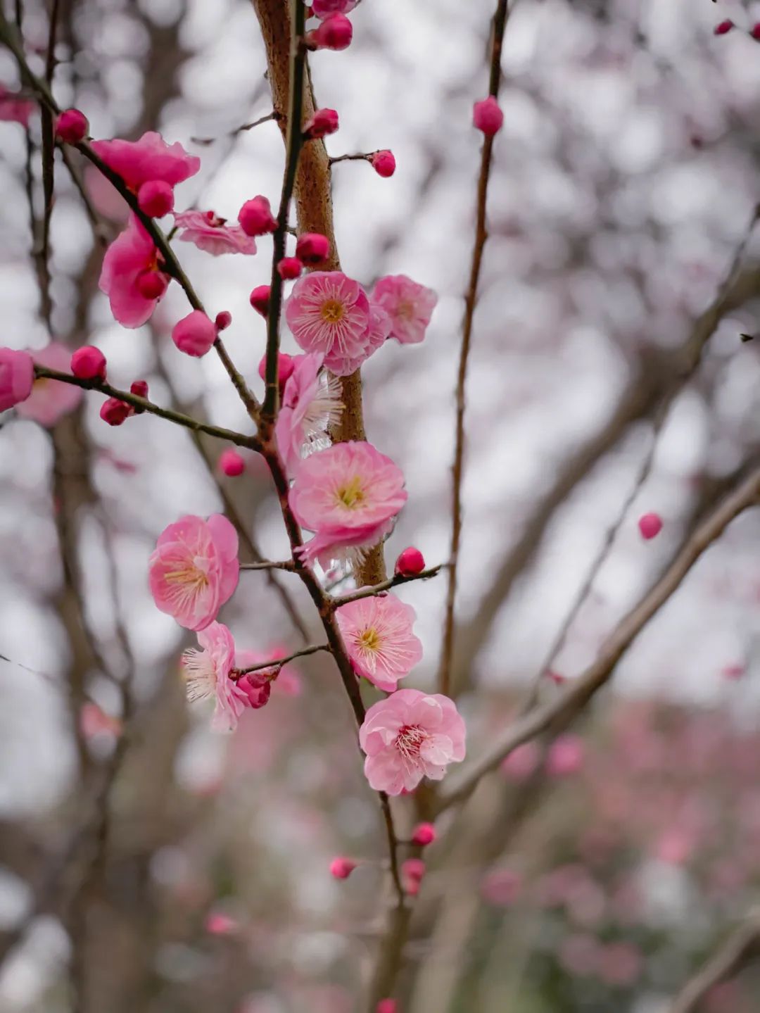 1688550107496448.jpg 微信圖片_20230705173838.jpg