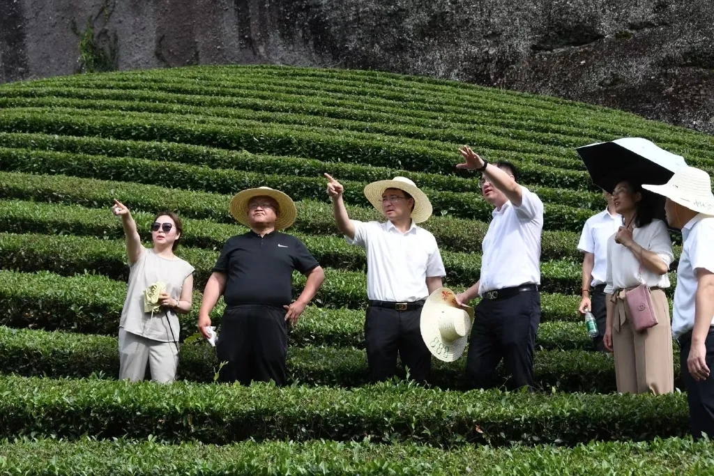 1688715335860496.jpg 20230626ea58687ebf2124d7657dacd7d7234516.webp.jpg