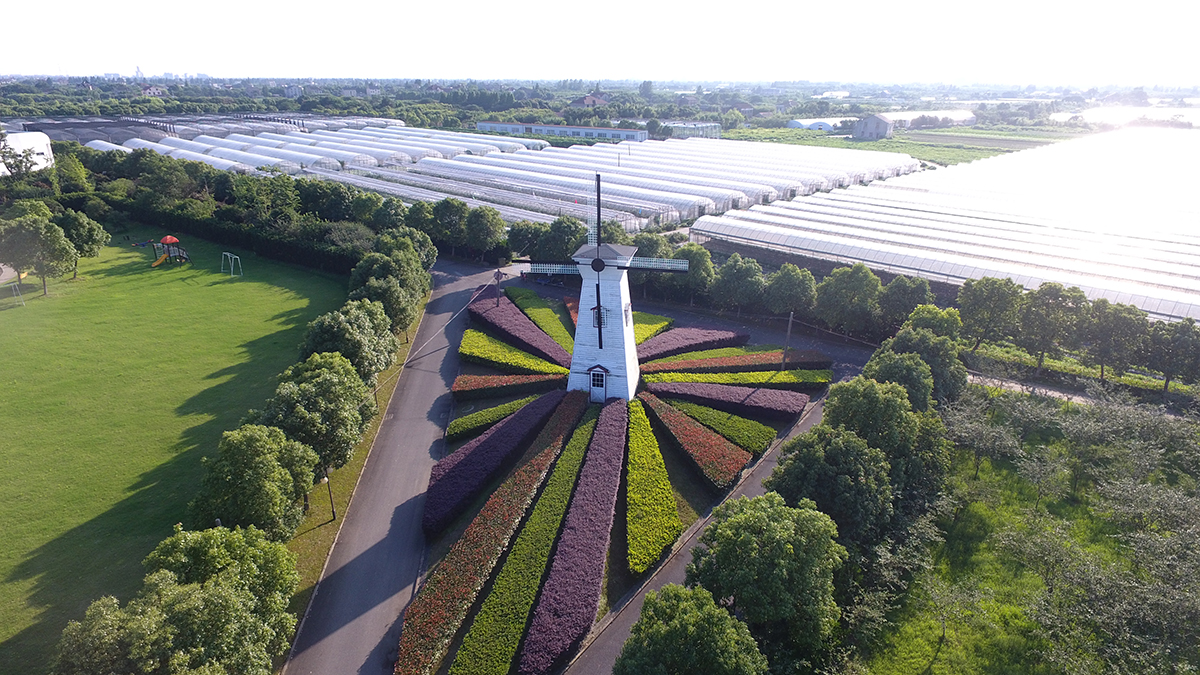 1689152135266740.jpg DJI_0057.JPG