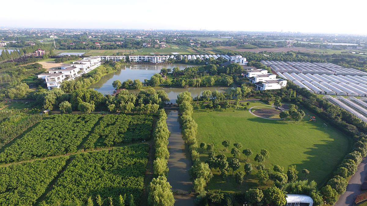 1689152174662427.jpg DJI_0082.JPG