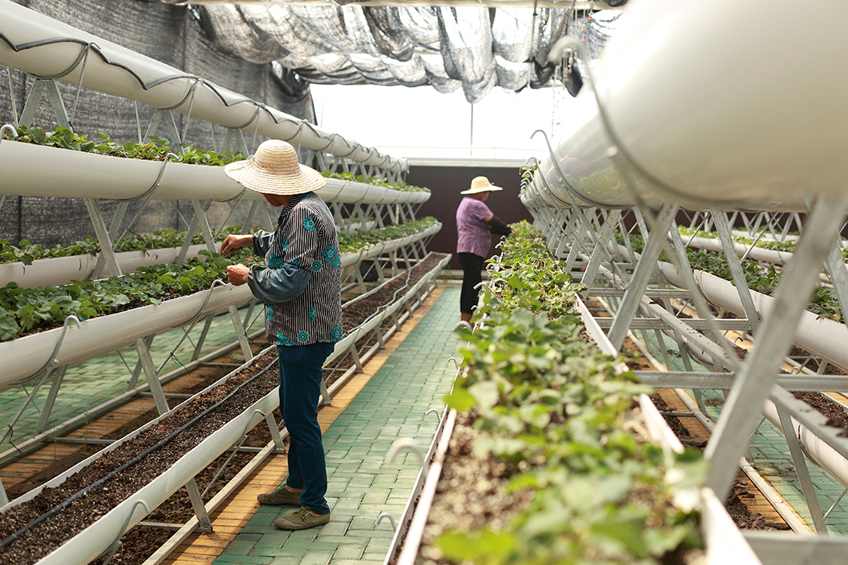 1689152196466957.jpg b290ea630c7c2911e1b9c37633ed7b13.jpg