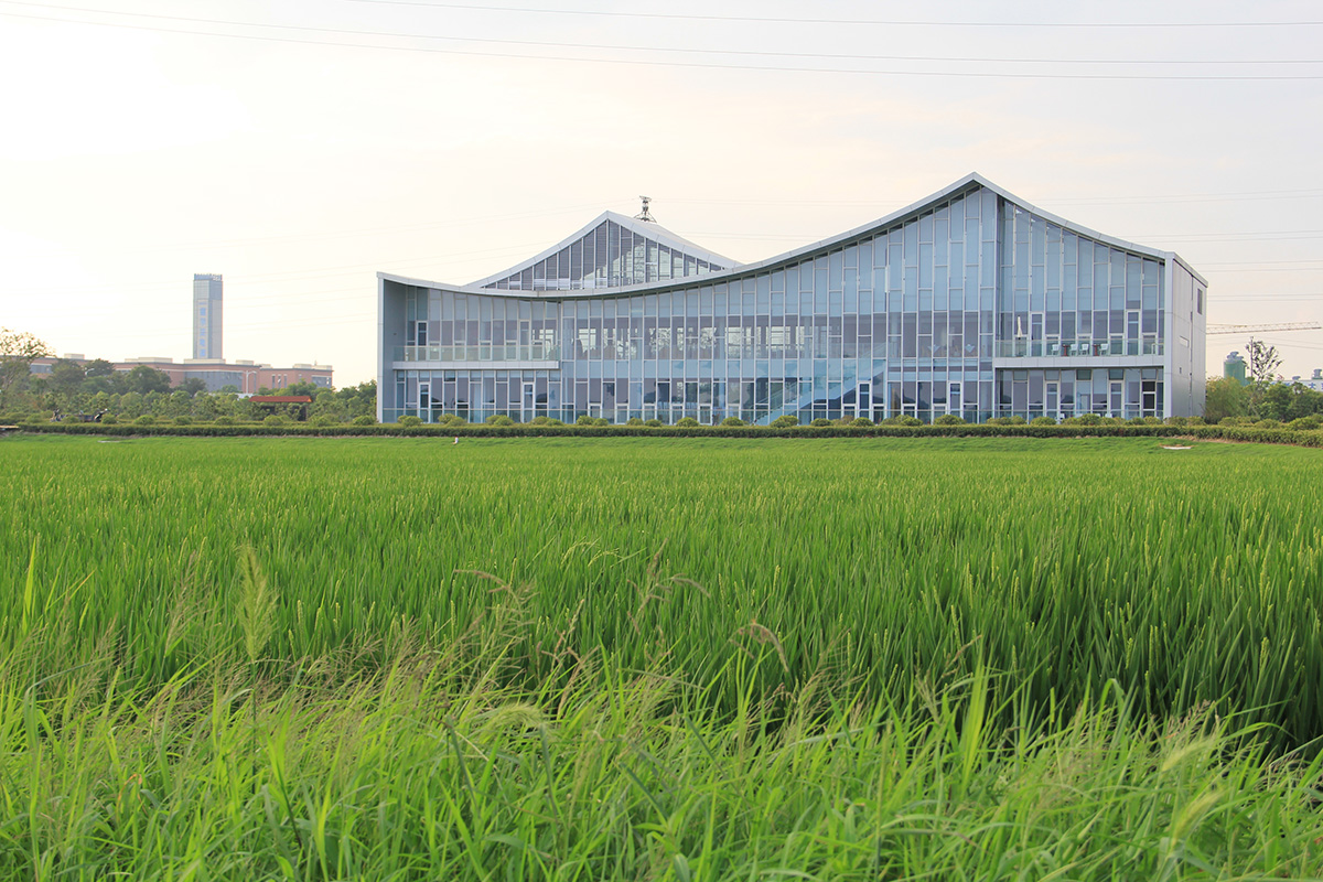 1689210377927103.jpg IMG_2537.JPG