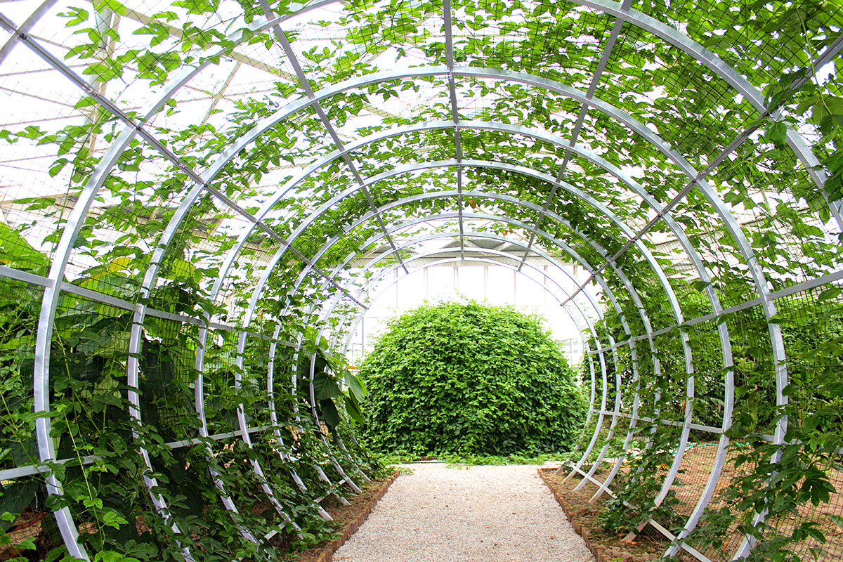 1689210417524805.jpg IMG_3966.JPG