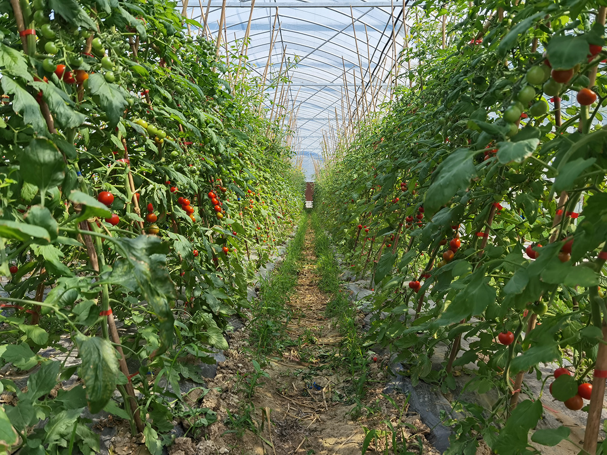 1689213449428458.jpg 微信圖片_20220923135048.jpg