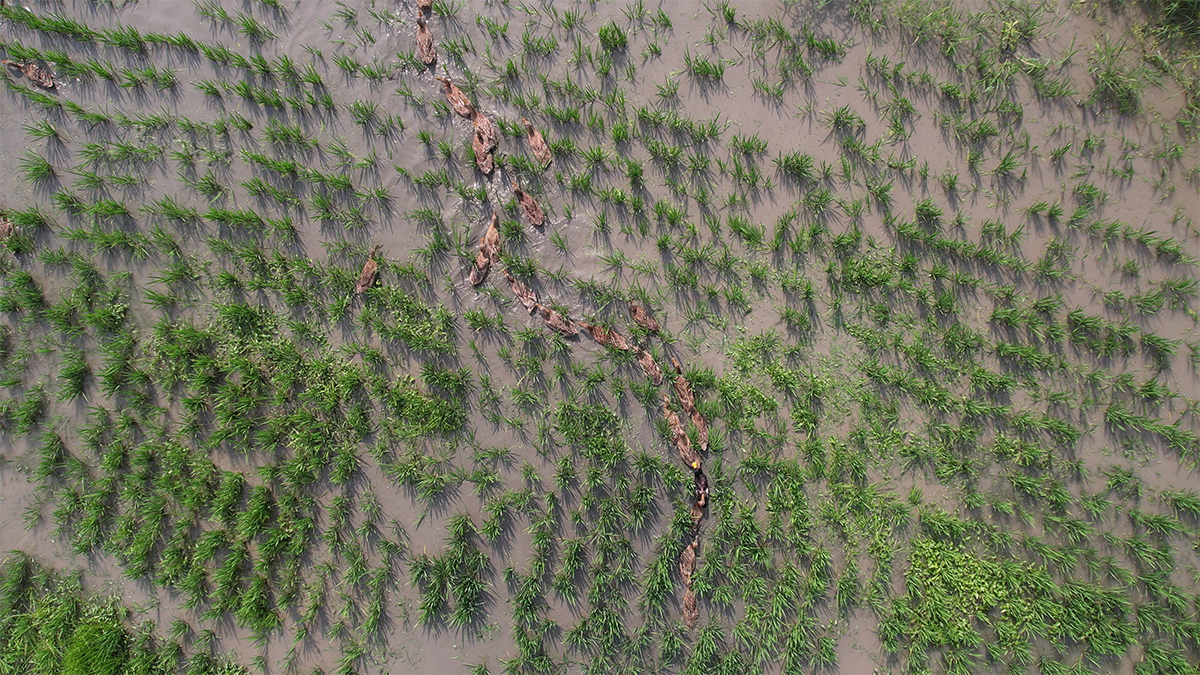 1689213464398565.png 微信圖片_20220923135044.png