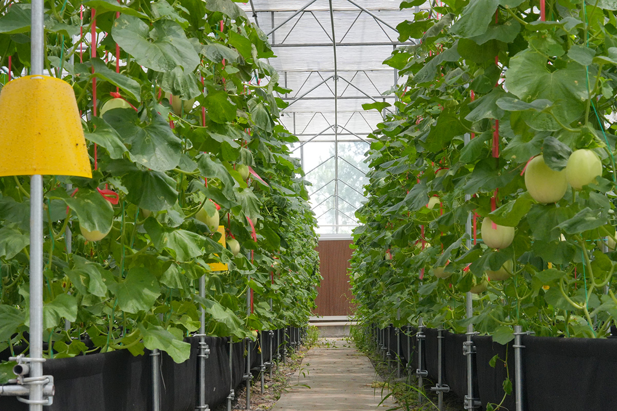 1689217173850800.jpg 微信圖片_20230713102430.jpg