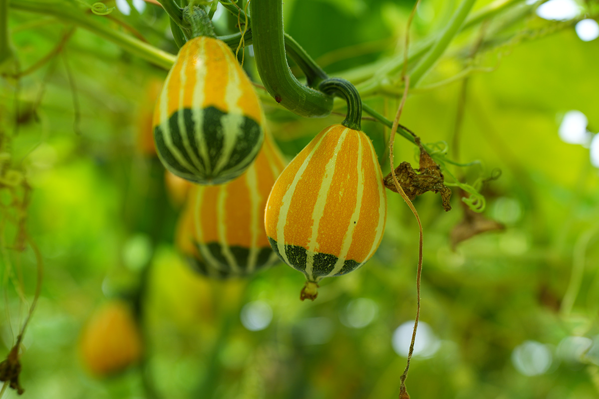 1689217184854118.jpg 微信圖片_20230713102905.jpg