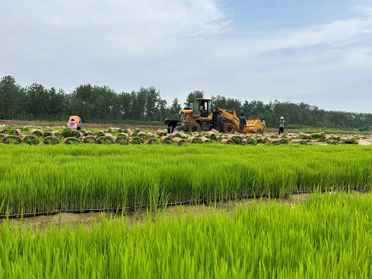 1689228030888352.jpg 微信圖片_20230713135524.jpg