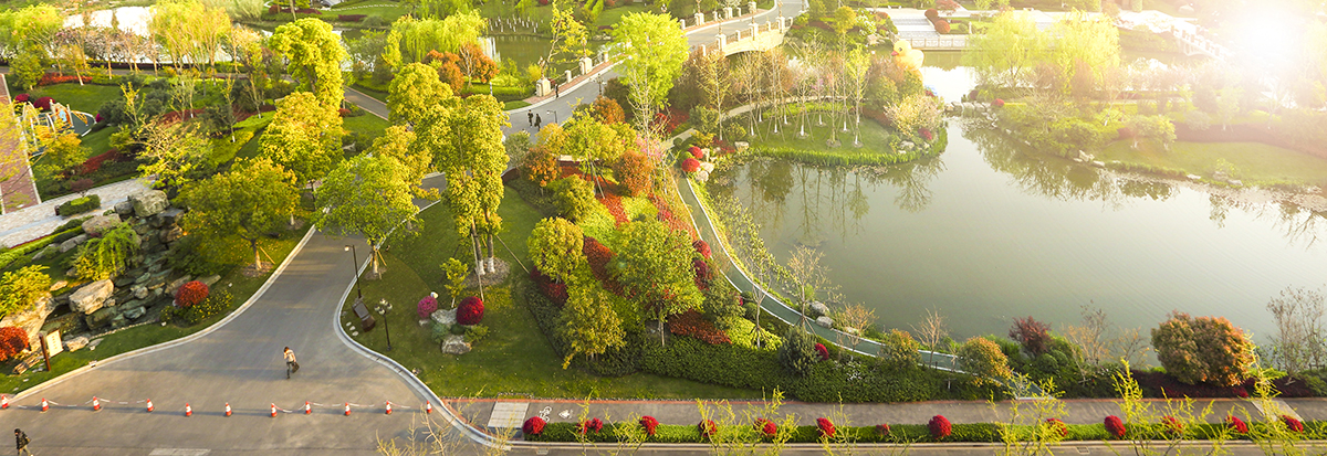 1689575164777550.jpg 夕陽 綠道.jpg