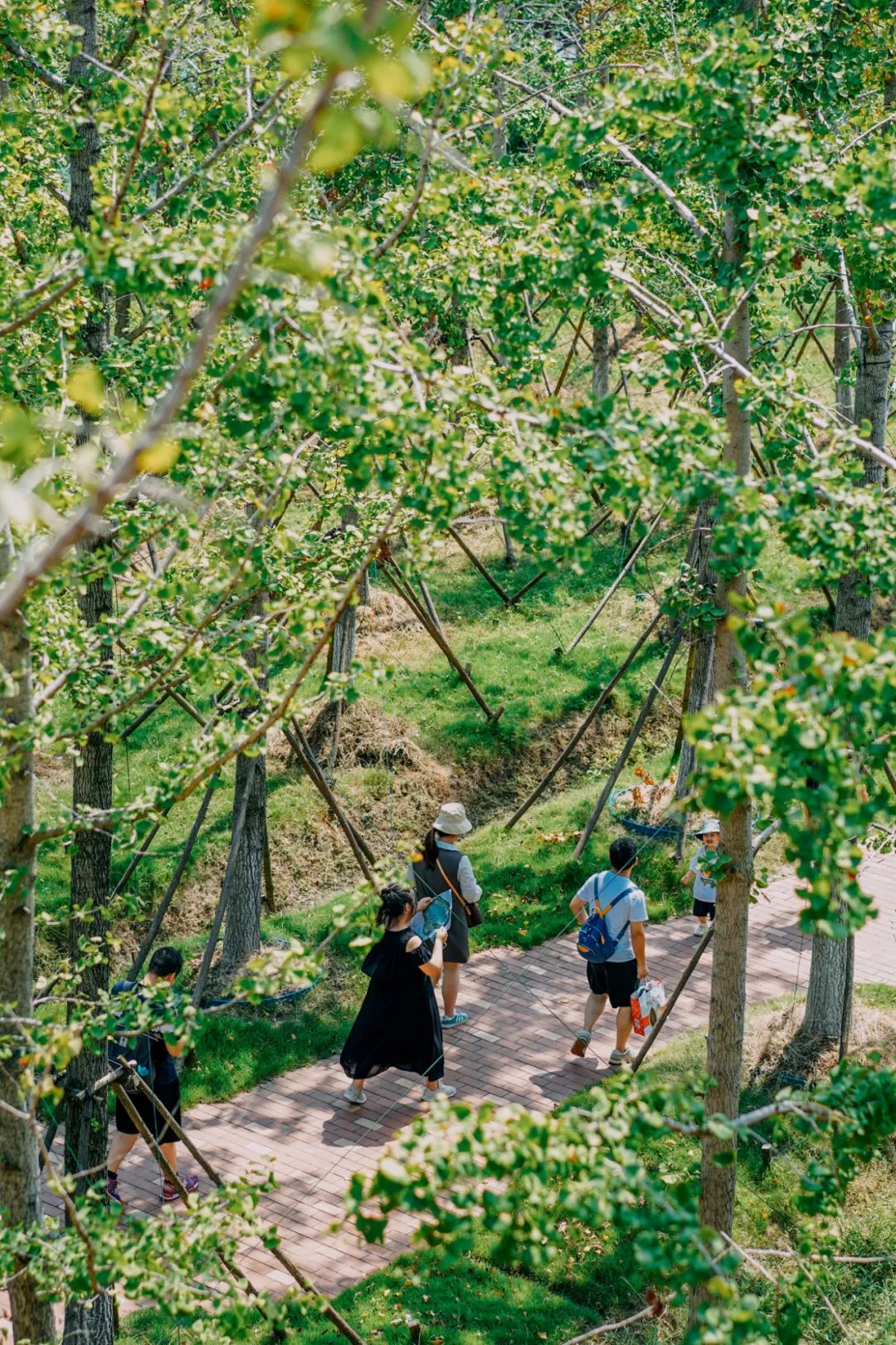 1709084373963068.jpg 640.jpg