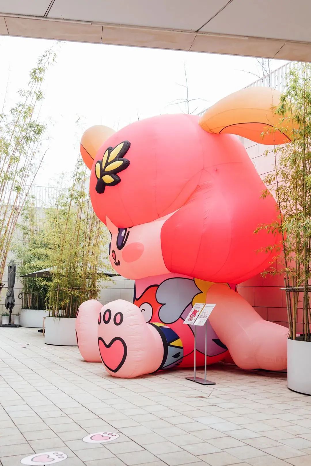 1709774611286283.jpg 640 (9).jpg