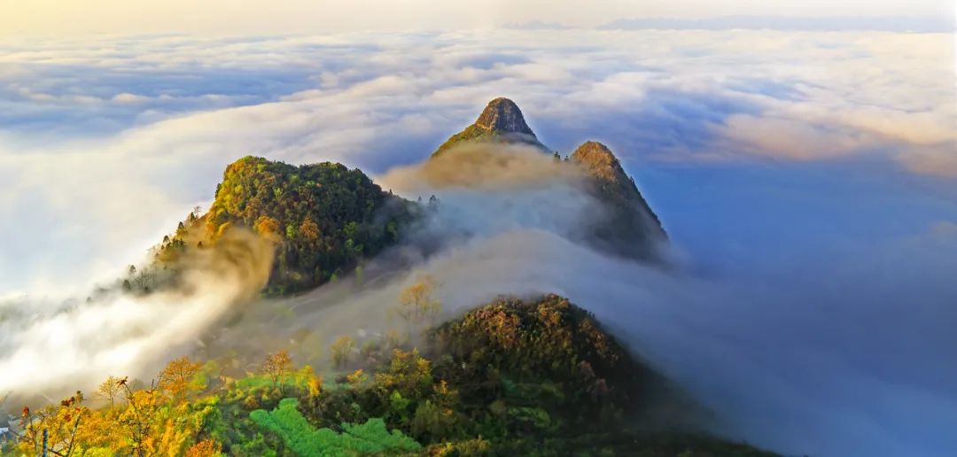 1710383296253047.jpg 640.jpg