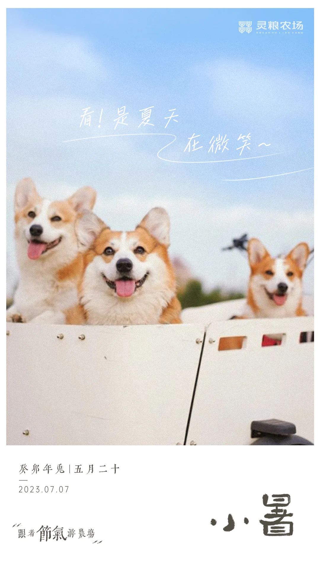 1711591257469750.jpg 640.jpg