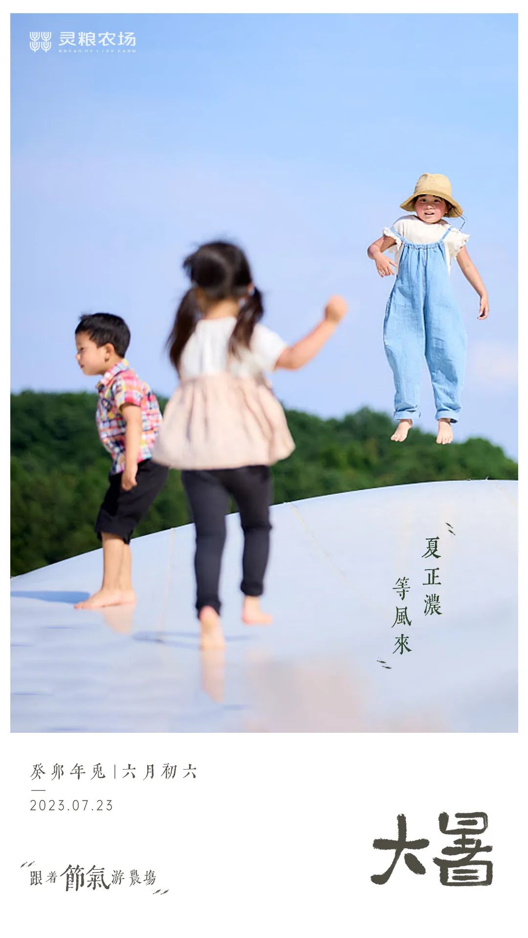 1711594416341793.jpg 640 (8).jpg