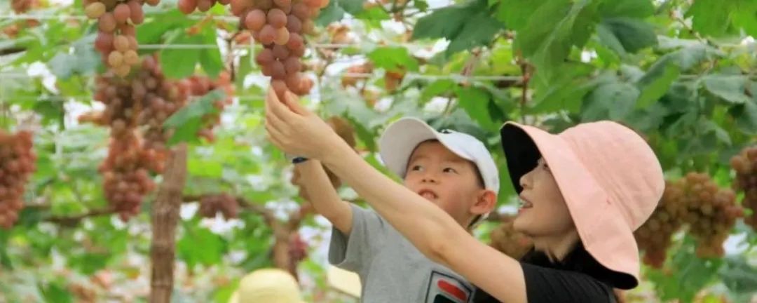 1711608142679549.jpg 640 (11).jpg