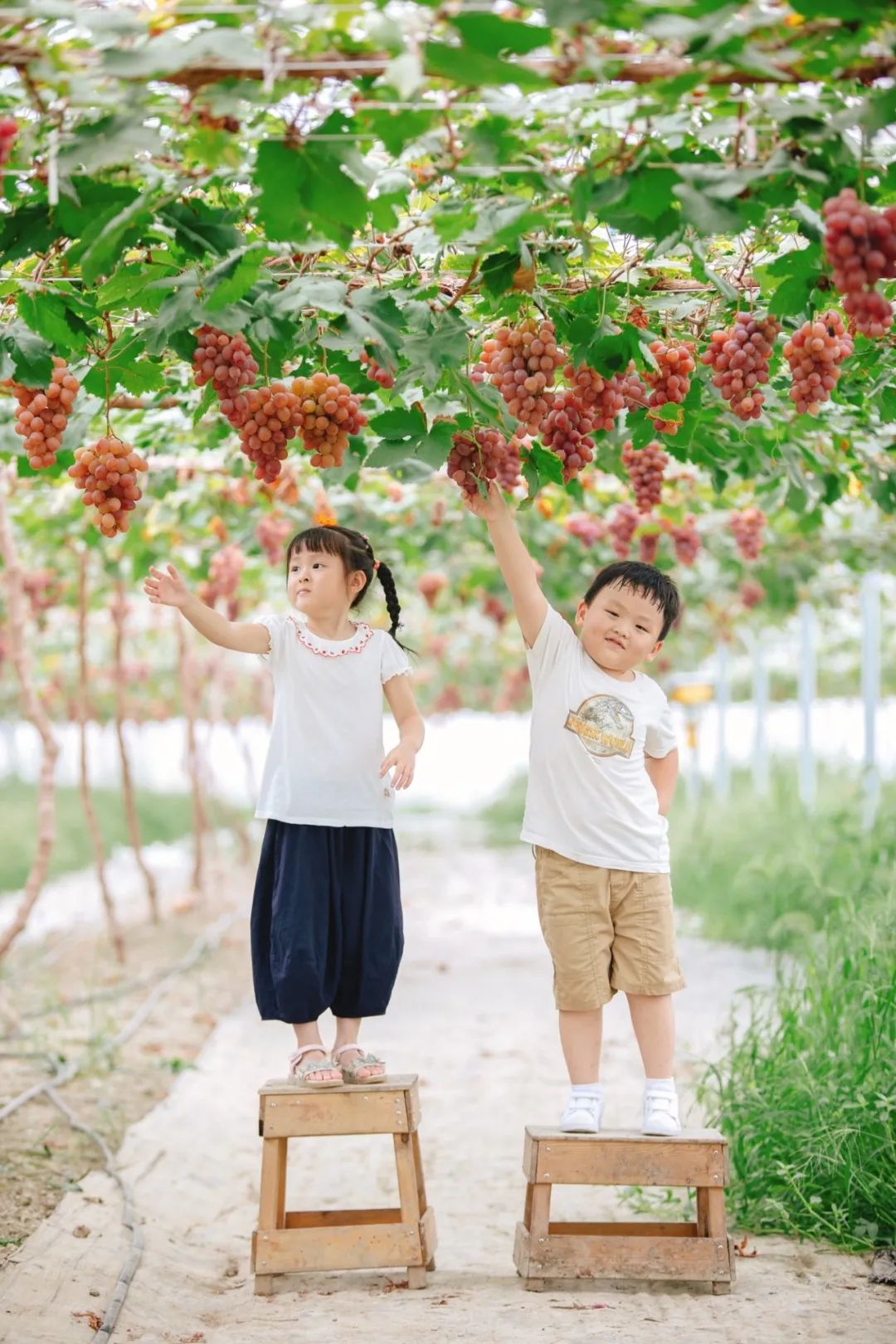 1711608176248883.jpg 640 (12).jpg