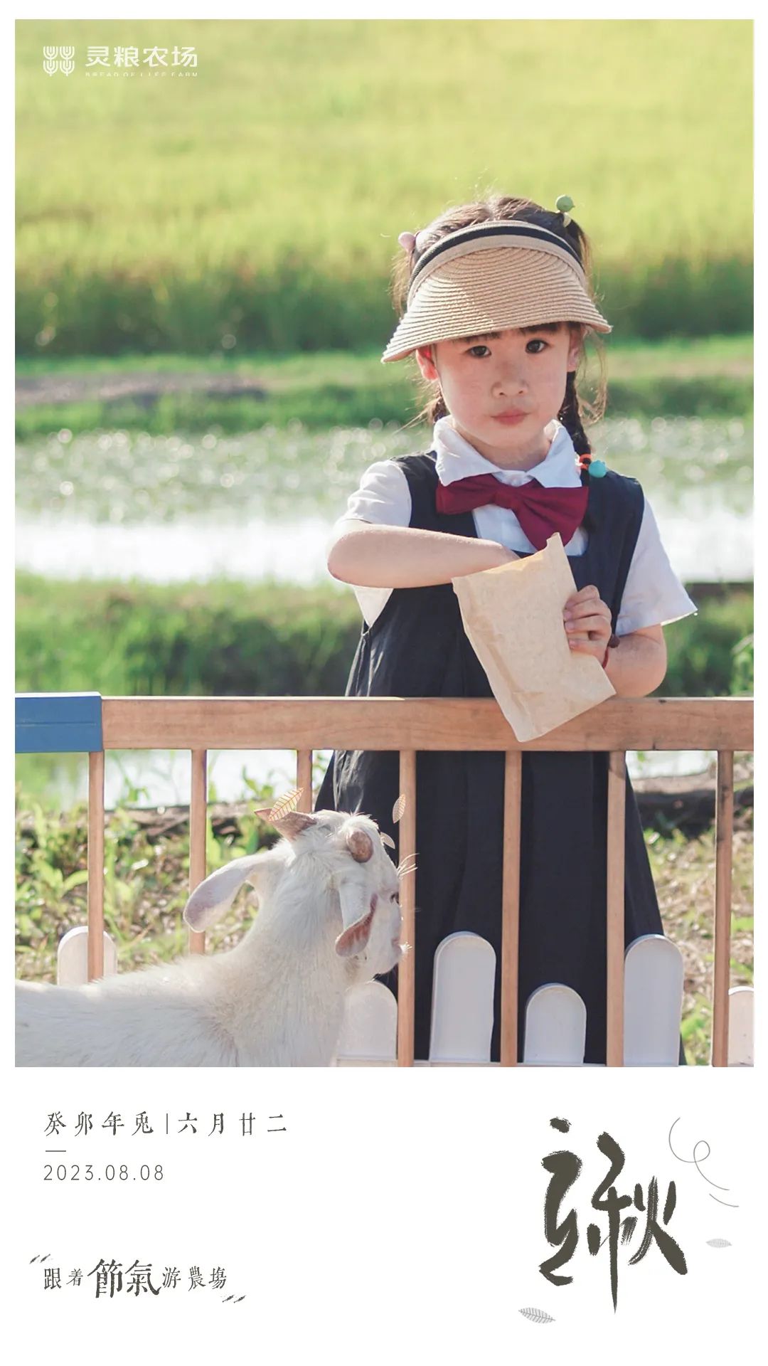 1711610852593087.jpg 640 (13).jpg