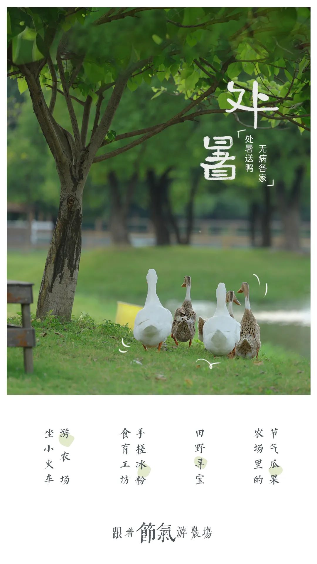 1711954641121556.jpg 640.jpg