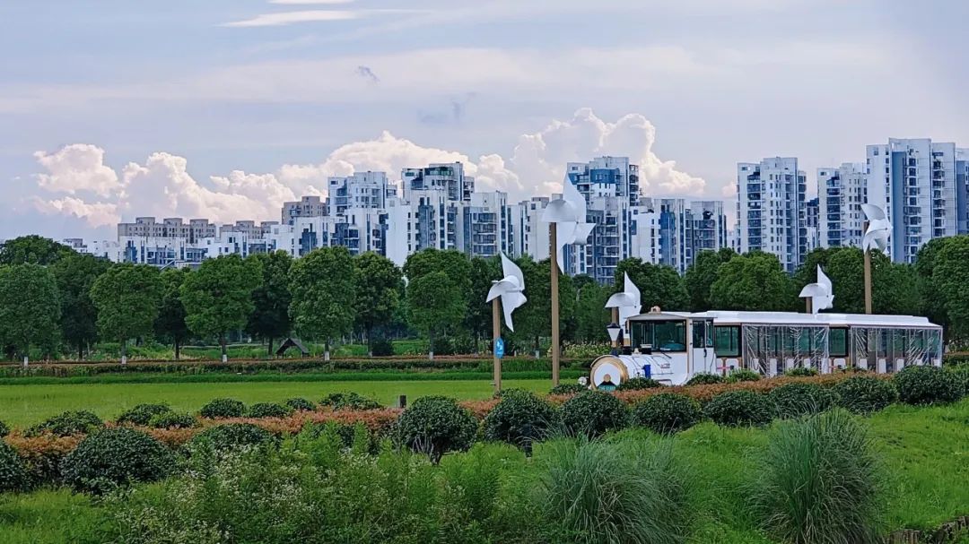 1711954673777006.jpg 640 (1).jpg