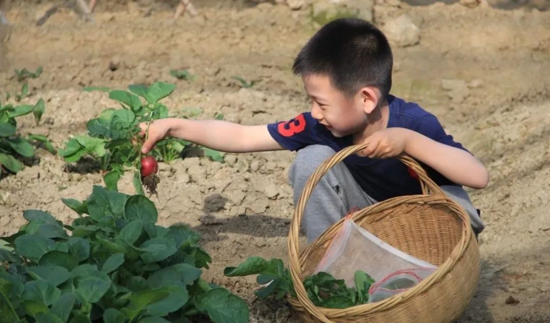 1711956354147346.jpg 640 (4).jpg