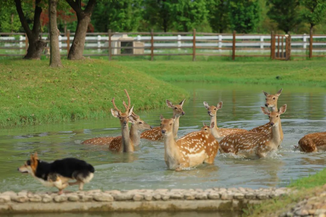 1711958531292026.jpg 640.jpg