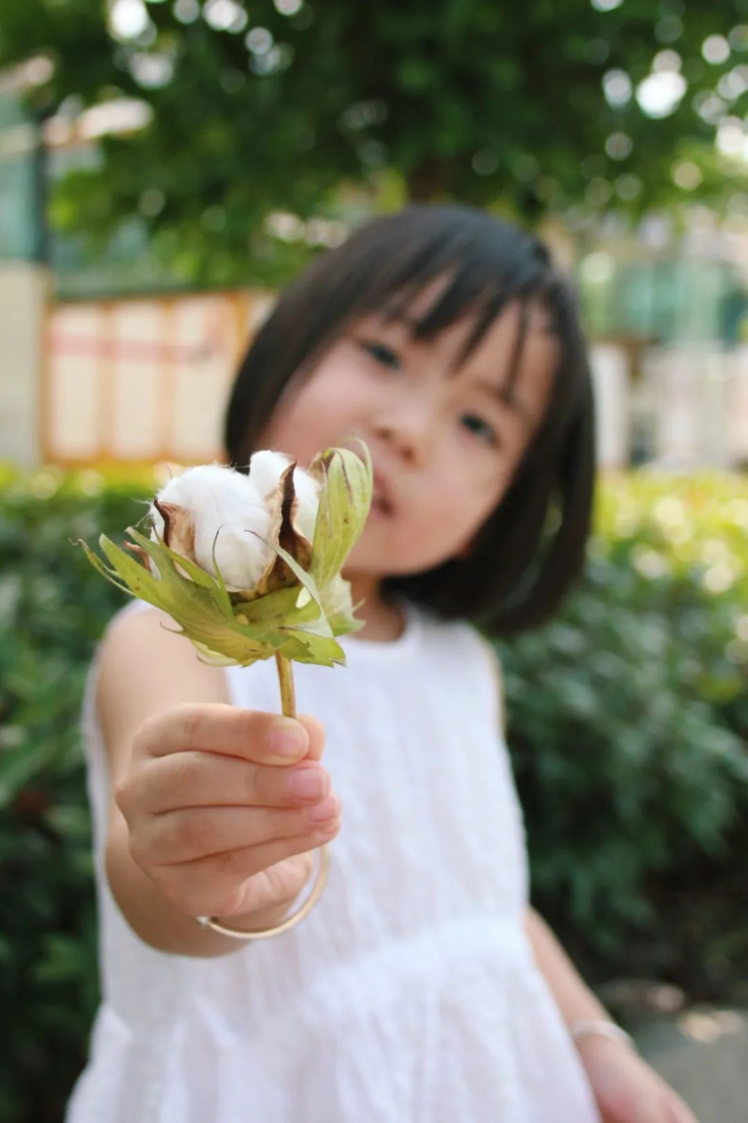 1711958576996852.jpg 640 (1).jpg