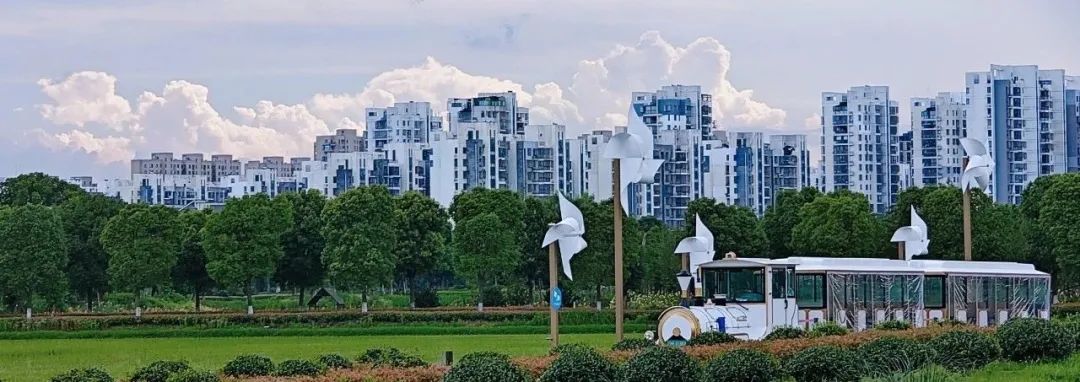 1711961493981465.jpg 640 (7).jpg