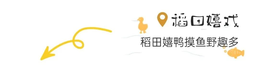 1712020706583218.jpg 640 (10).jpg