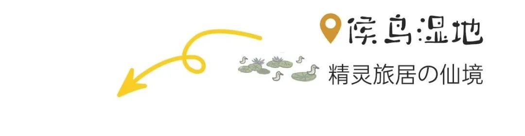 1712034668997269.jpg 640 (34).jpg