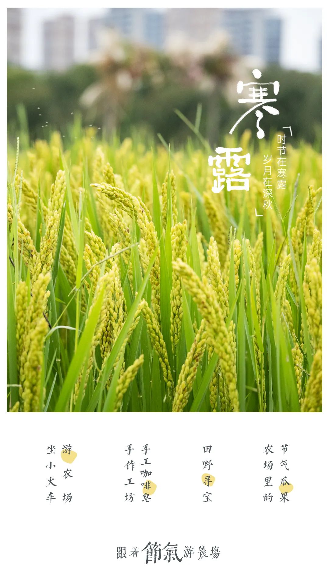 1712537559488969.jpg 640.jpg