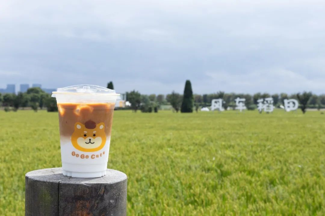 1712537720515917.jpg 640 (1).jpg