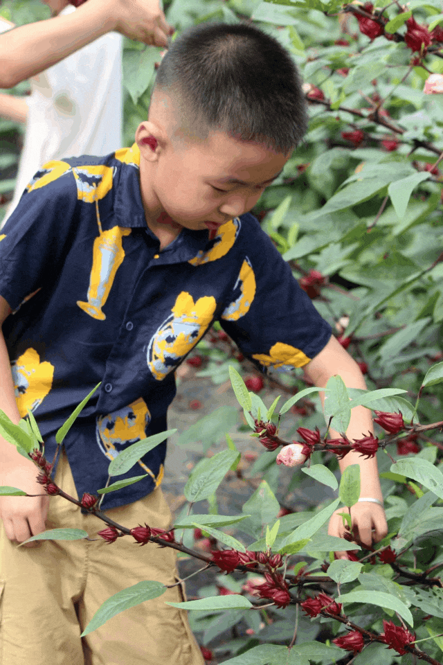 1712537862723796.gif 640.gif