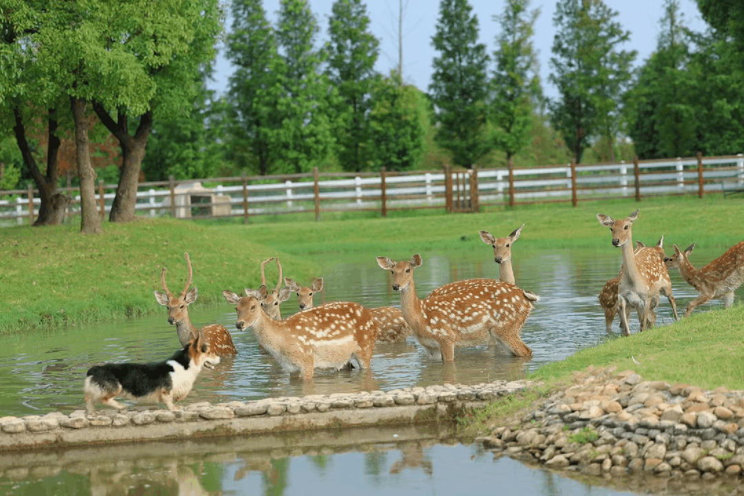 1712540205592735.gif 640.gif