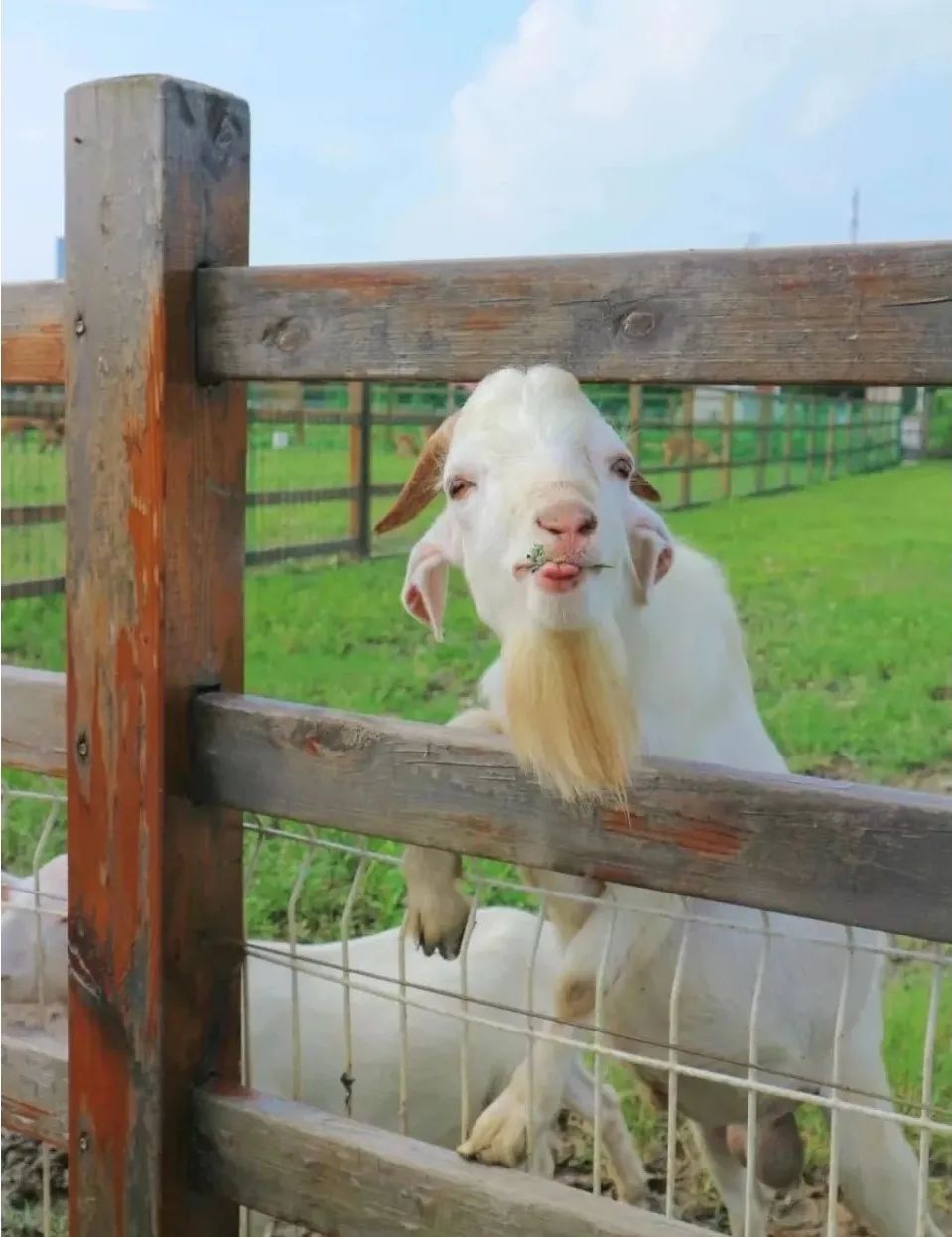 1712540551716423.jpg 640 (6).jpg