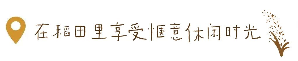 1712540709555750.jpg 640 (7).jpg