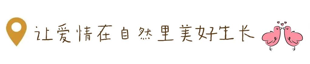 1712545286602494.jpg 640 (26).jpg