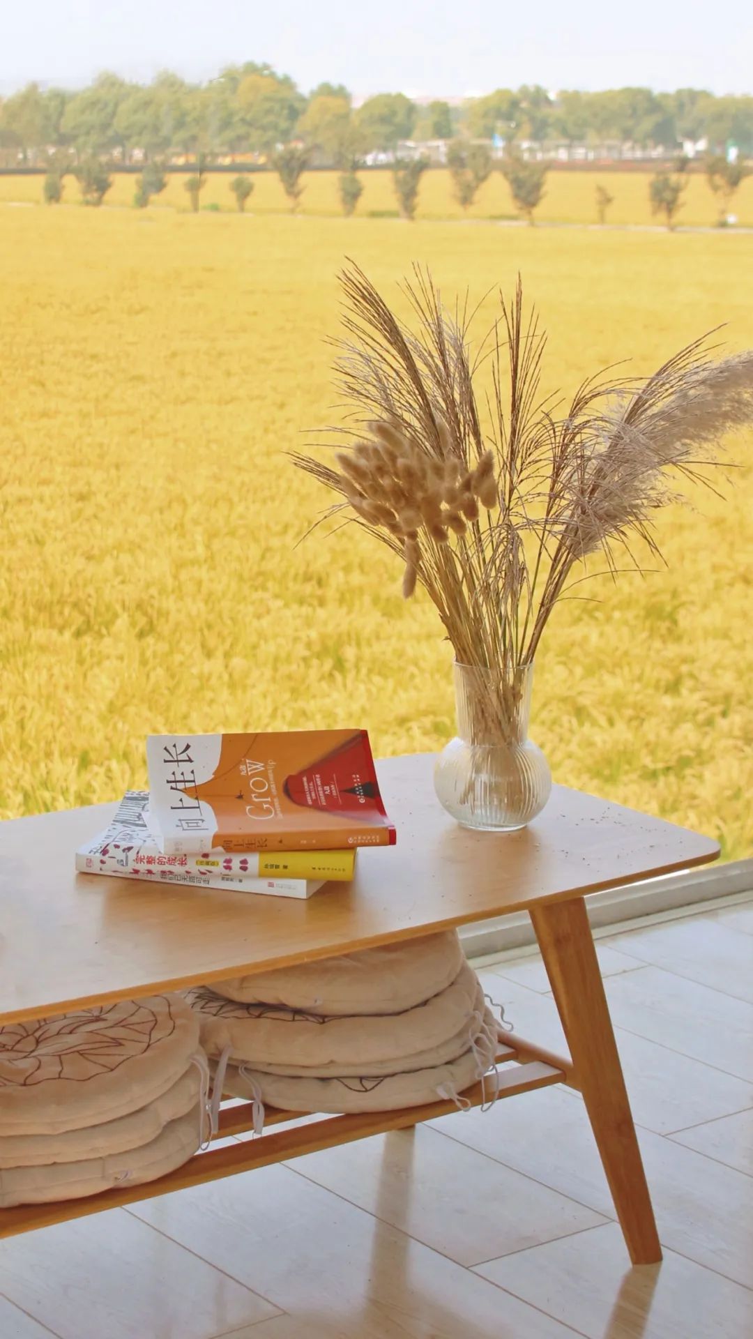 1712564605120174.jpg 640 (31).jpg