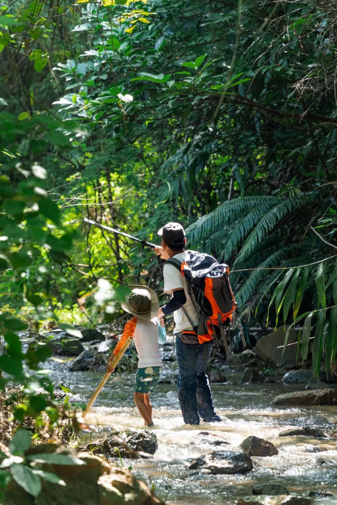 1750140434803256.jpg 640.jpg