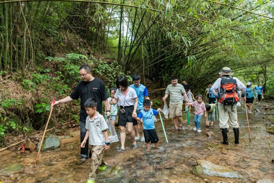 1750143150368832.jpg 640 (1).jpg